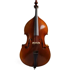 Double Bass D PNG Image