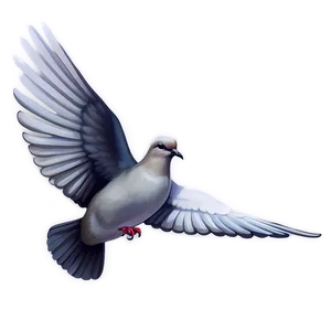 Dove Drawing Clipart Png 4 PNG Image