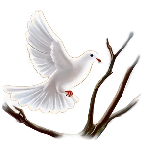 Dove Outline Clipart Png 81 PNG Image