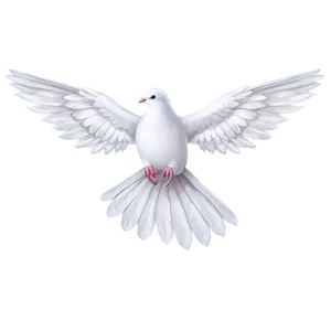 Dove Wings Clipart Png 8 PNG Image