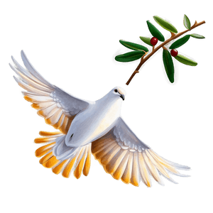 Dove with Olive Branch PNG 34 PNG image with transparent background