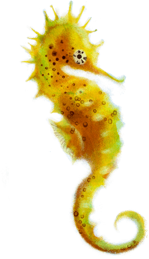 Download Seahorse Png Picture - Transparent Background Seahorse Transparent, Png Download PNG image with transparent background