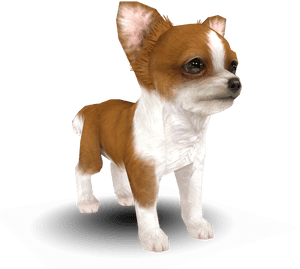 Download Zip Archive, HD Png Download PNG image with transparent background