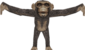 Download Zip Archive - Monkey, HD Png Download PNG image with transparent background