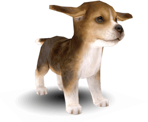 Download Zip Archive - Nintendogs Models, HD Png Download PNG image with transparent background