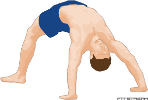 The - Bridge Exercise PNG image with transparent background