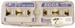 Dozen Eggs Carton Top View PNG Image