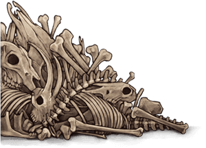 Dragon Skeleton Artwork PNG image with transparent background
