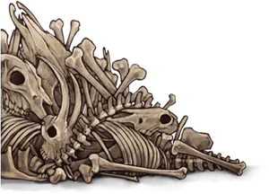 Dragon Skeleton Artwork PNG Image