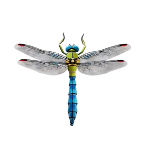 Dragonfly Hovering Png 06112024 PNG Image