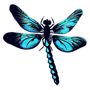 Dragonfly Silhouette PNG 05212024 PNG image with transparent background
