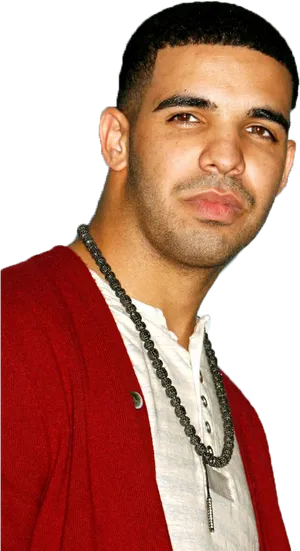 Drakein Red Cardigan PNG Image