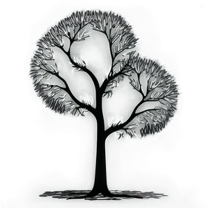 Dramatic Black And White Tree Photography Png 93 PNG Image