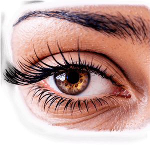 Dramatic Volume Lashes PNG 05252024 PNG image with transparent background