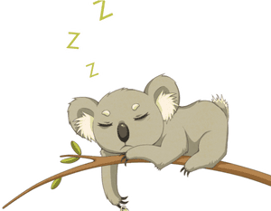 Drawn Koala Transparent - Transparent Background Cute Koala Clipart PNG image with transparent background