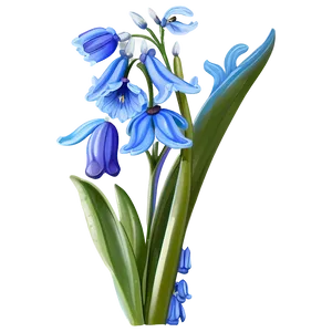 Dreamy Bluebell Png Kxd PNG Image