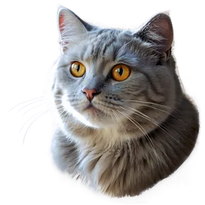 Dreamy Cat Artwork Png Efg52 PNG Image