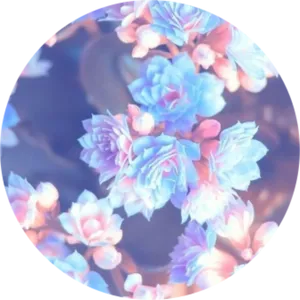 Dreamy Floral Circle Aesthetic.jpg PNG Image