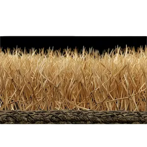 Dried Grass Field Png Tqo75 PNG Image