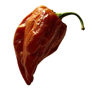 Dried Habanero Pepper Png Eci9 PNG Image