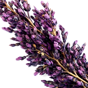 Dried Heather Decoration Png Abc33 PNG Image