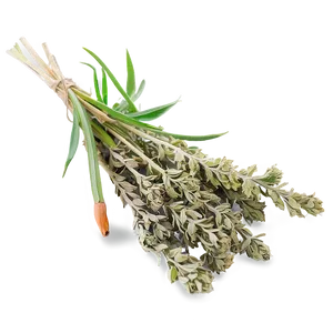 Dried Herb Png 06272024 PNG Image