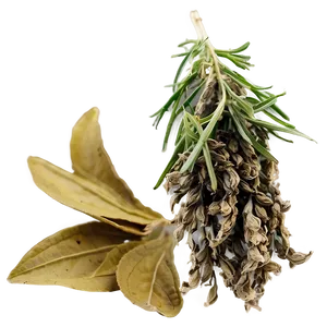 Dried Herb Png Bpa PNG Image