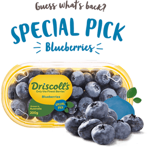 Image Special Pick Call Out V2 Aug - Driscoll's Blueberries, HD Png Download PNG image with transparent background
