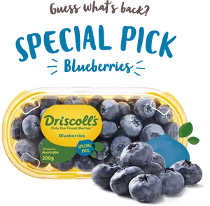 Driscolls Special Pick Blueberries Packaging PNG Image