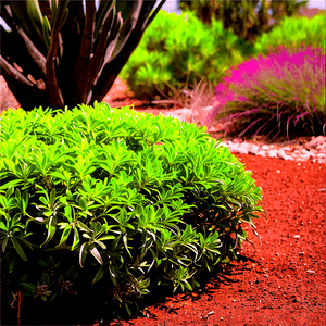 Drought Tolerant Shrubs PNG tmf53 PNG