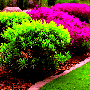 Drought Tolerant Shrubs PNG xli30 PNG