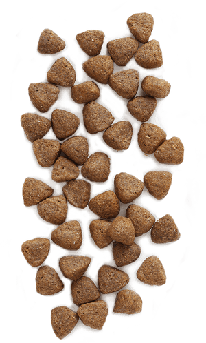 Png Pet Food - Dog Food Pebble, Transparent Png PNG