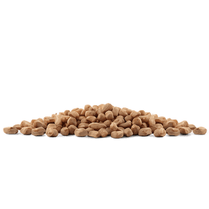 Dry Dog Food PNG 05252024 PNG