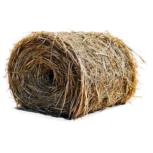 Dry Hay Texture Png 31 PNG Image