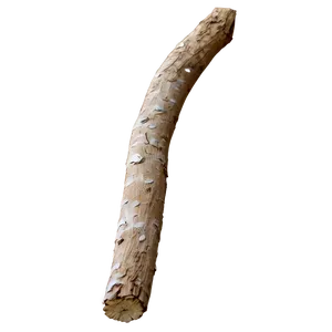 Dry Twig Png Owu PNG Image