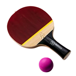 Dual-sided Ping Pong Racket Png 32 PNG Image