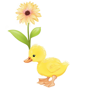 Duckling Clipart PNG 15 PNG