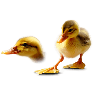 Duckling Silhouette PNG 96 PNG