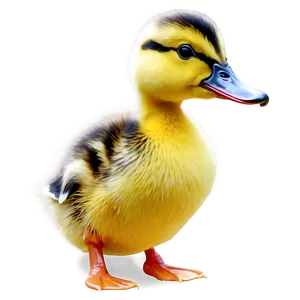 Duckling Vector Art Png Oyc5 PNG Image