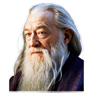 Dumbledore Portrait PNG wra60 PNG image with transparent background