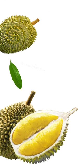 Durian Fruit Wholeand Sectioned PNG Image