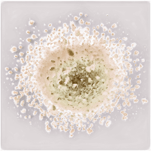 Dust Particles Texture PNG 47 PNG image with transparent background