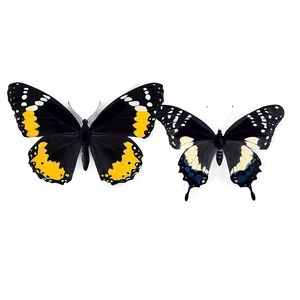 Dynamic Black Butterfly Png Xeo PNG Image