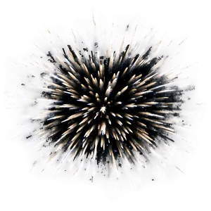 Dynamic Explosion Effect Png Msd15 PNG Image