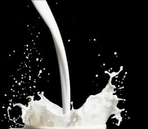 Dynamic Milk Splash Photography PNG