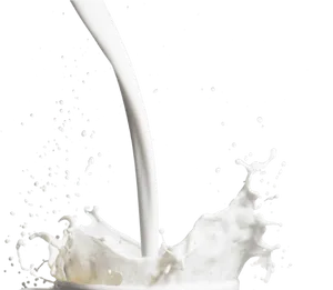 Dynamic Milk Splash Photography PNG Image