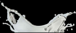 Dynamic Milk Splashon Black Background PNG