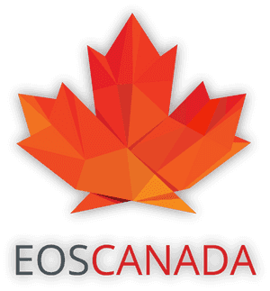 Canada Flag To Print, HD Png Download PNG image with transparent background