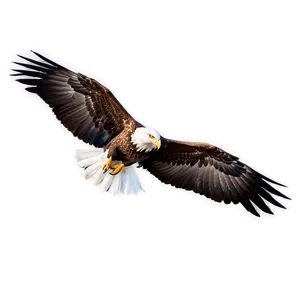 Eagle Wings In Flight Png Loo89 PNG Image