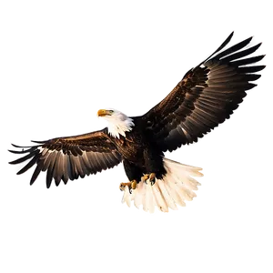 Eagle Wings Silhouette Png 85 PNG Image